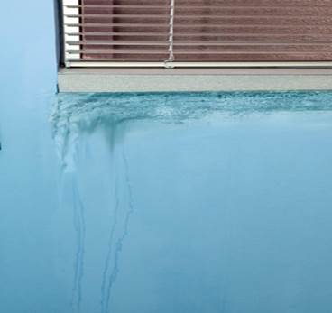 MoldMildew