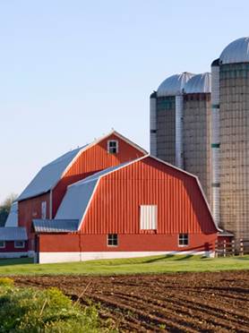 CleanBarn_1