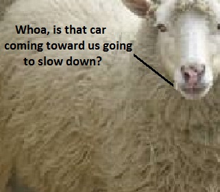 whoasheep