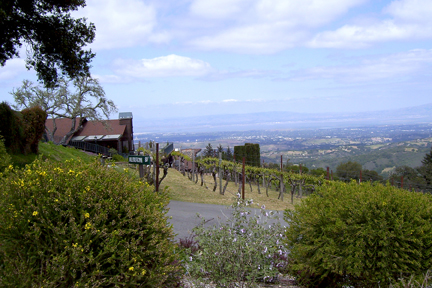 Winery_1